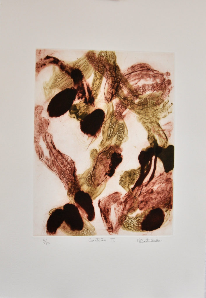Castaño II Beatriz Castañeda