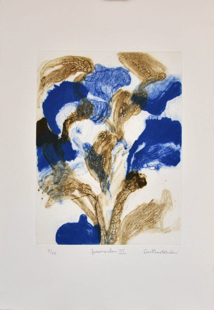 Jacaranda III Beatriz Castañeda